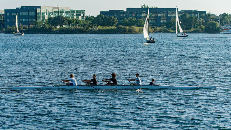 Rowing on estuary