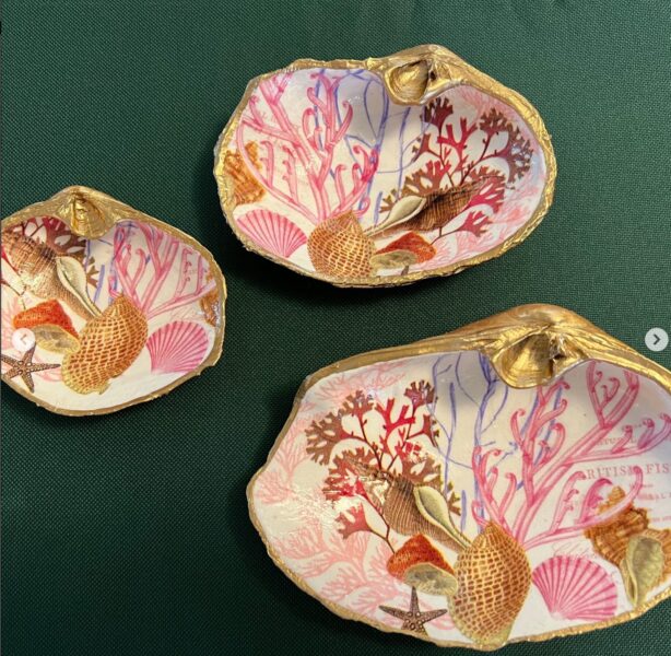 decorative Shells