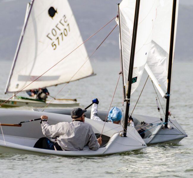 El Toros and Sunfish racing