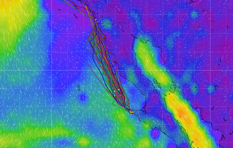 Baja Ha-Ha leg one