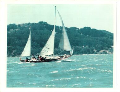 Sea-wings-sailing