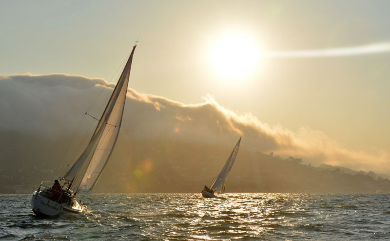 Sausalito Yacht Club Thursday night races