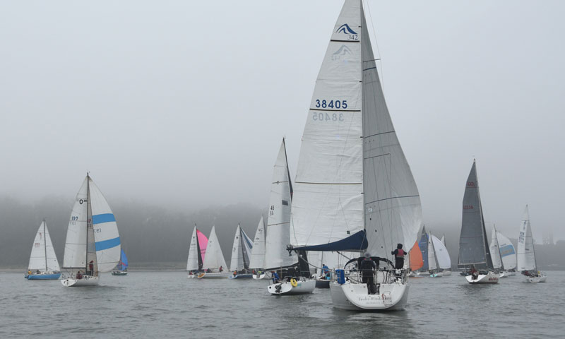 Crissy Field in the fog