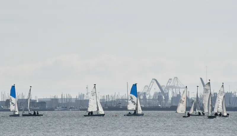 Cal Sailing Club races