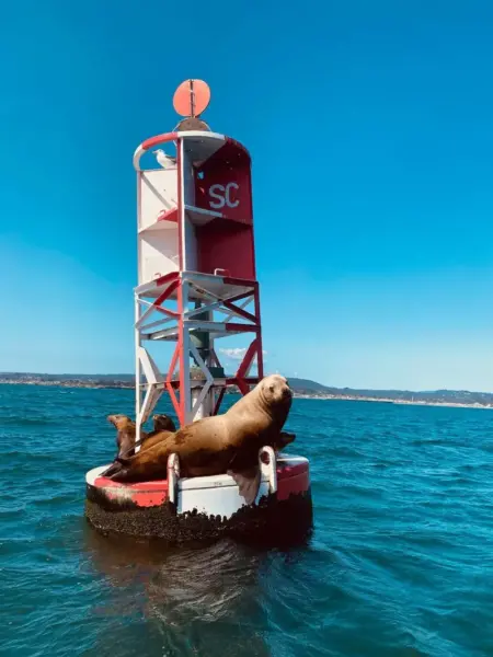 Santa Cruz Mile Buoy