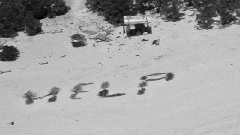 Palm leaves spell HELP on beach