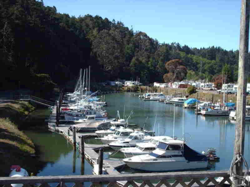 Dolphin Isle Marina