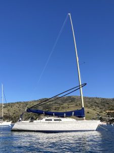 IMG_1159