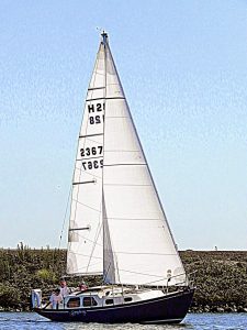 IMG_3930