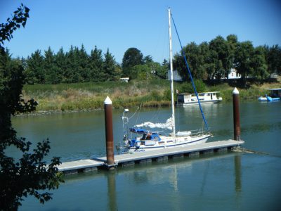 Delta2010-1