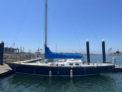 IMG_7117