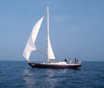 Myrdhin-Florida1