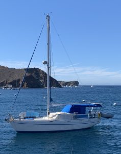 IMG_1925-1