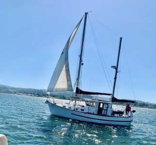 IMG_0451