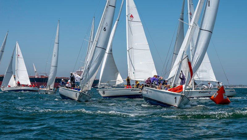 Catalina 37s racing