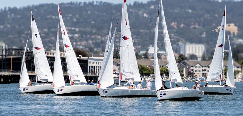 J/22s on the Estuary