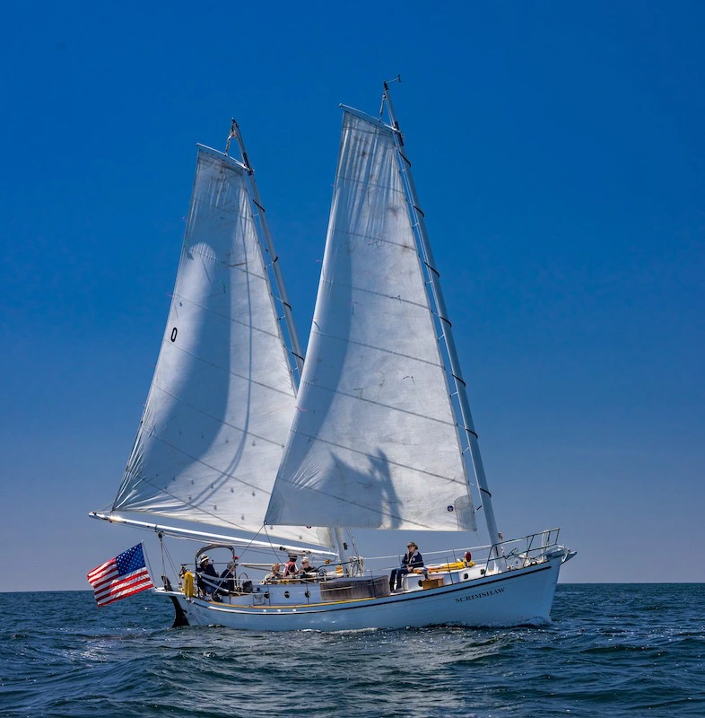 SchoonerCup202515of174CS.jpg.webp