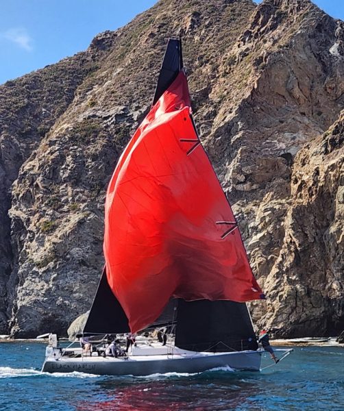 Herwig Baumgartner's 1D35 Black Marlin.