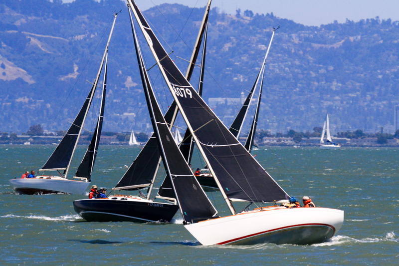 The eight-boat Alerion fleet.