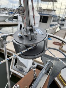 IMG_3637