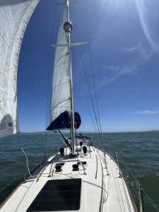 IMG_5230