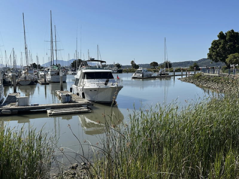 Looking at Mt. Diablo from the Benecia guest dock makes it feel like you've traveled far into the Delta.