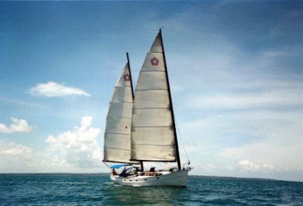 Coyote-under-sail-1