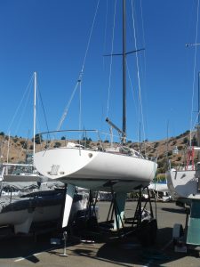 DSCN8167