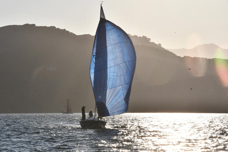 A comfortable July evening on the Bay with a vertical mast while the spinnaker is set.