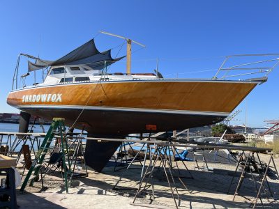 IMG_1593