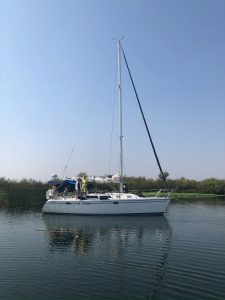 IMG_4589