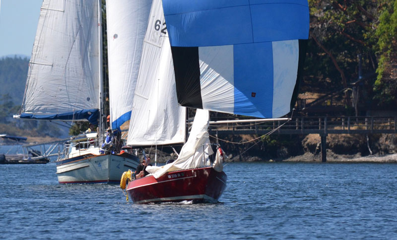 Shaw Island Race boats