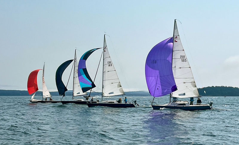 Shaw Island spinnakers