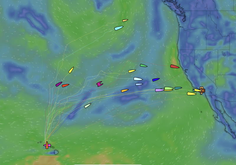 Today it's clear some are returning to the Pacific Northwest plus Northern and Southern California.
