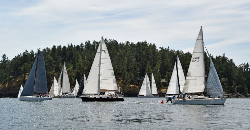 Fleet at the start