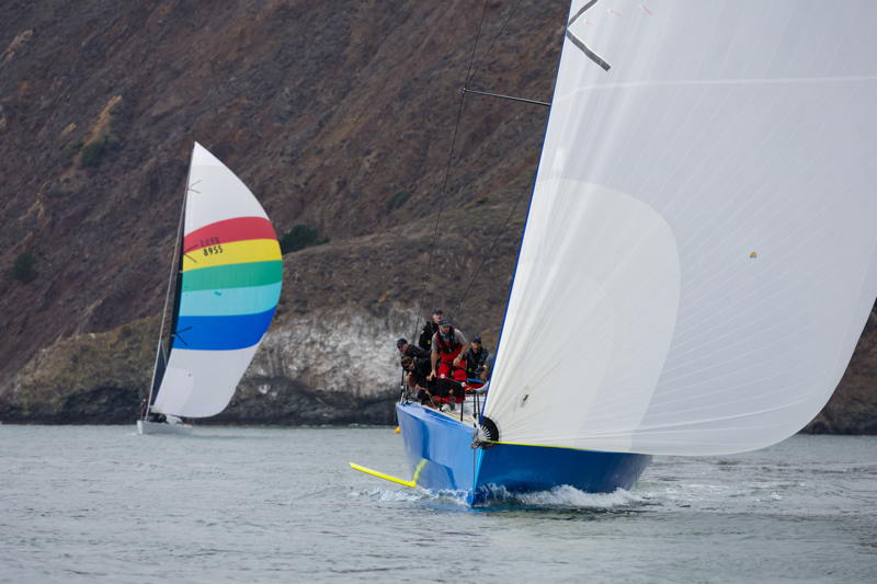Merlin and Zeus head back into the Bay.