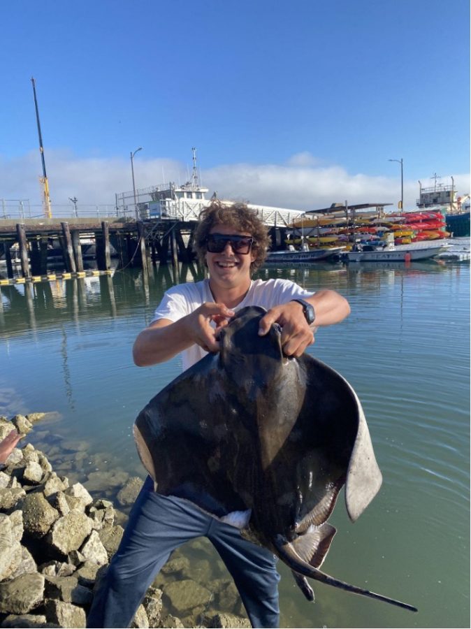 Call of the sea - summer camp - stingray