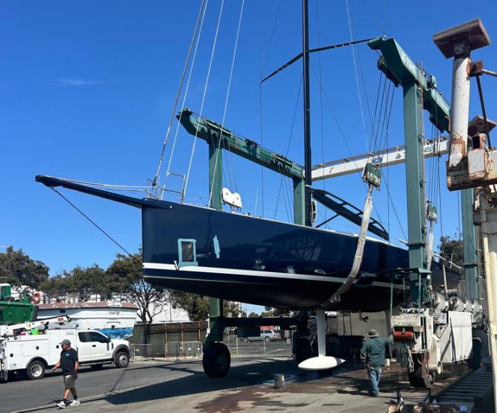 The injured Vasara in the slings are KKMI.