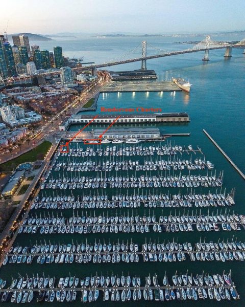 South Beach Harbor is a great place to run a charter business. 