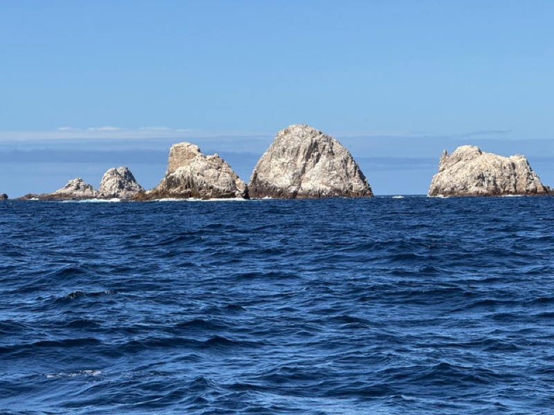 Dave and Symphony sailed through the Farallones.
