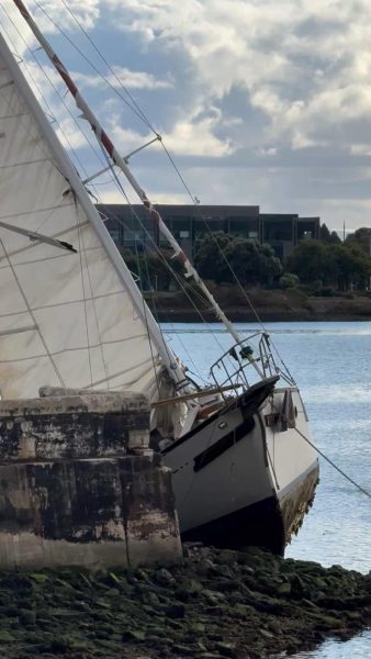 A fresh grounding near Brooklyn Basin.
