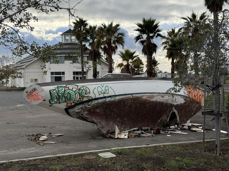 One that made it ashore.