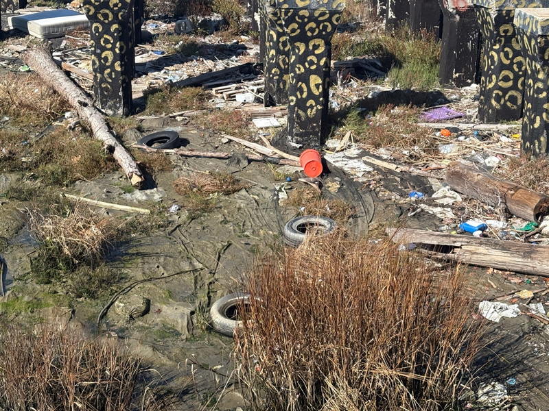 The king tides create an opportunity to clean up while the storm will only add to the mess.