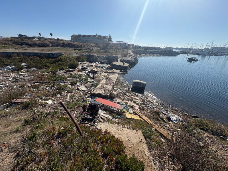 The remnants of storms often end up scattered along the shoreline waiting for expensive clean-up operations.