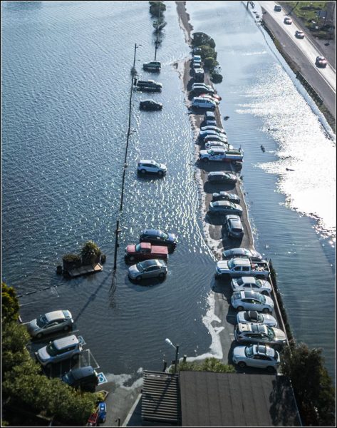Cars parked along the waterfront in Sausalito were at risk of drowning.