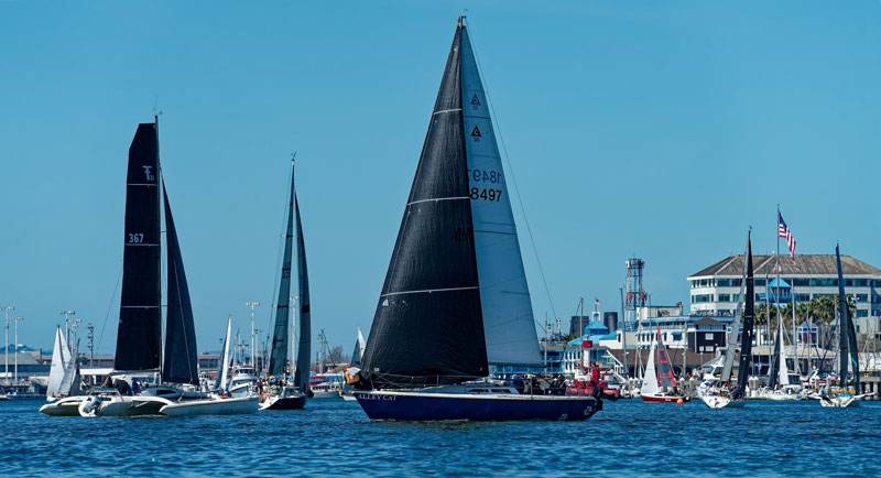 Boats racing on the Estuary