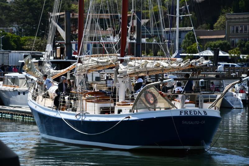 The lovely schooner, Freda B, is berthed just down the dock from the Marotta offices.