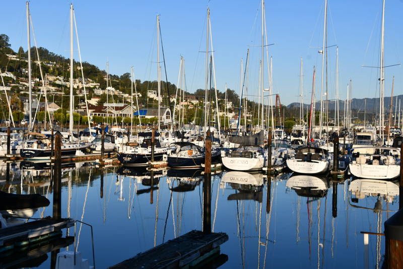 The normally peaceful docks of Sausalito Yacht Harbor.