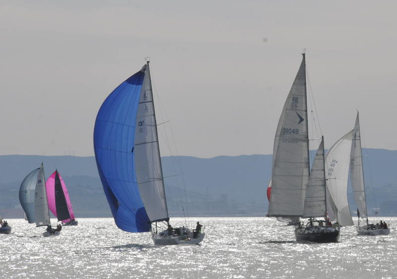 It was sunny and warm with plenty of breeze to overcome the powerful ebb. 