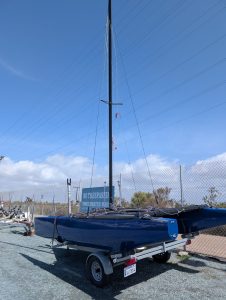 PXL_20250315_190433836-1